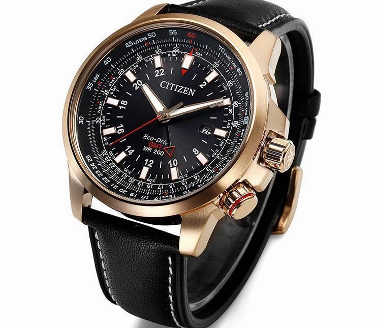 Citizen Promaster Eco-Drive Gmt Mens Watch