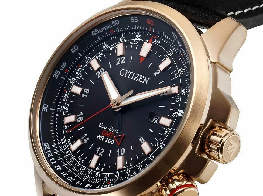 Citizen Promaster Eco-Drive Gmt Mens Watch