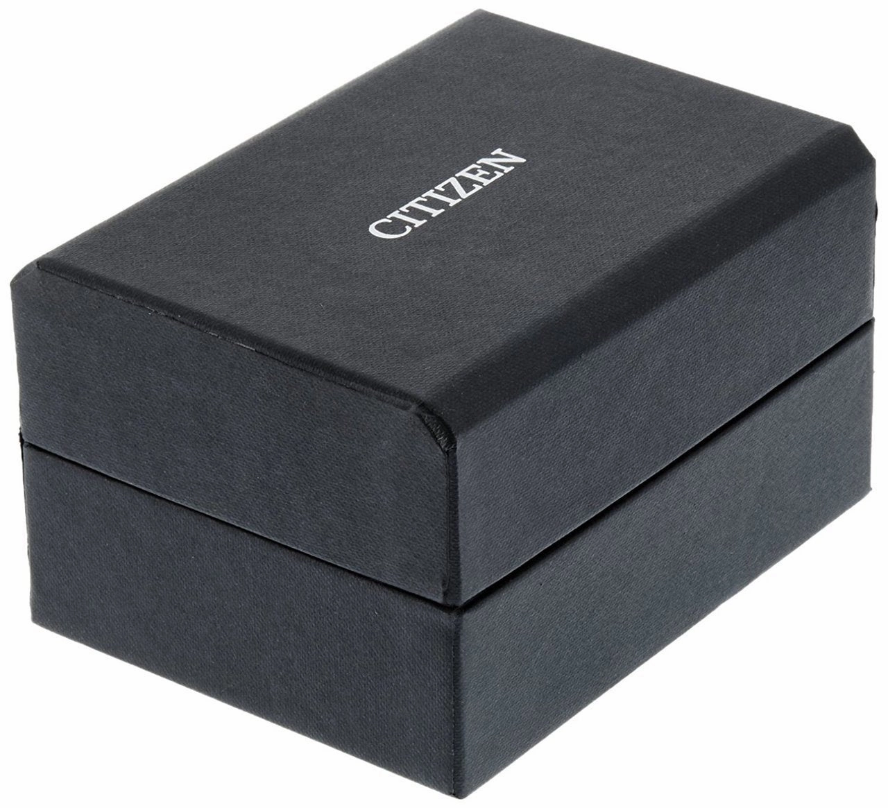 Citizen Promaster Eco-Drive Gmt Mens Watch