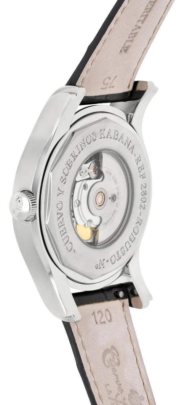 Cuervo y Sobrinos Robusto Solo Tiempo Automatic Stainless Steel Silver Dial Black Leather Strap Date Mens Watch 2802.1A