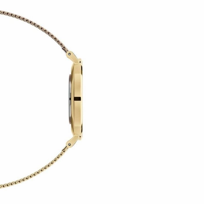 Daniel Wellington DW00100346 Petite Evergold