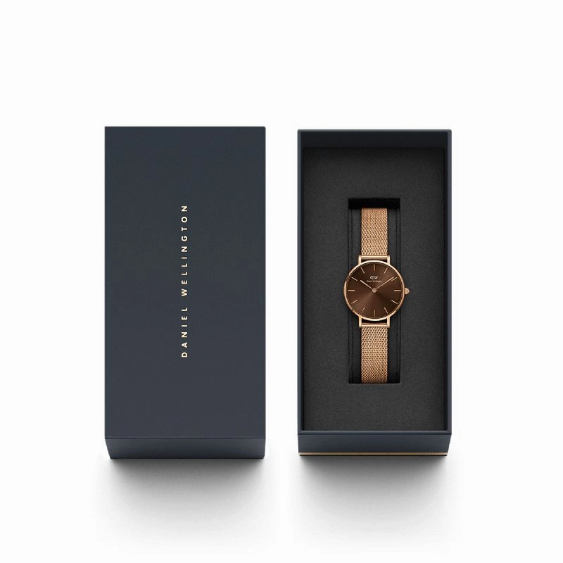 Daniel Wellington Petite Amber Mesh Watch