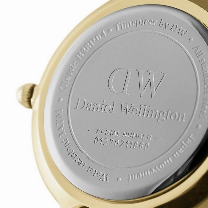 Daniel Wellington Petite Evergold DW00100350