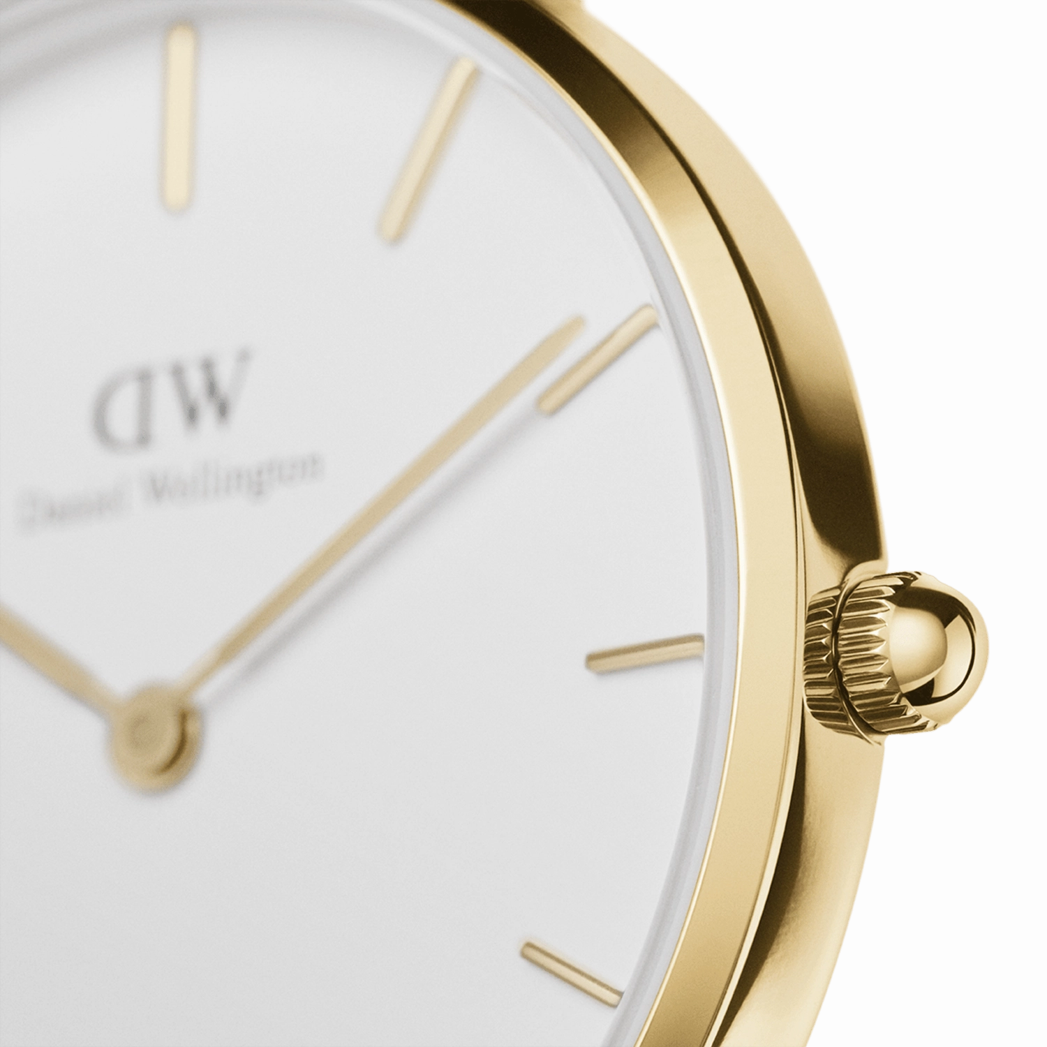 Daniel Wellington Petite St Mawes 32mm Watch DW00100550