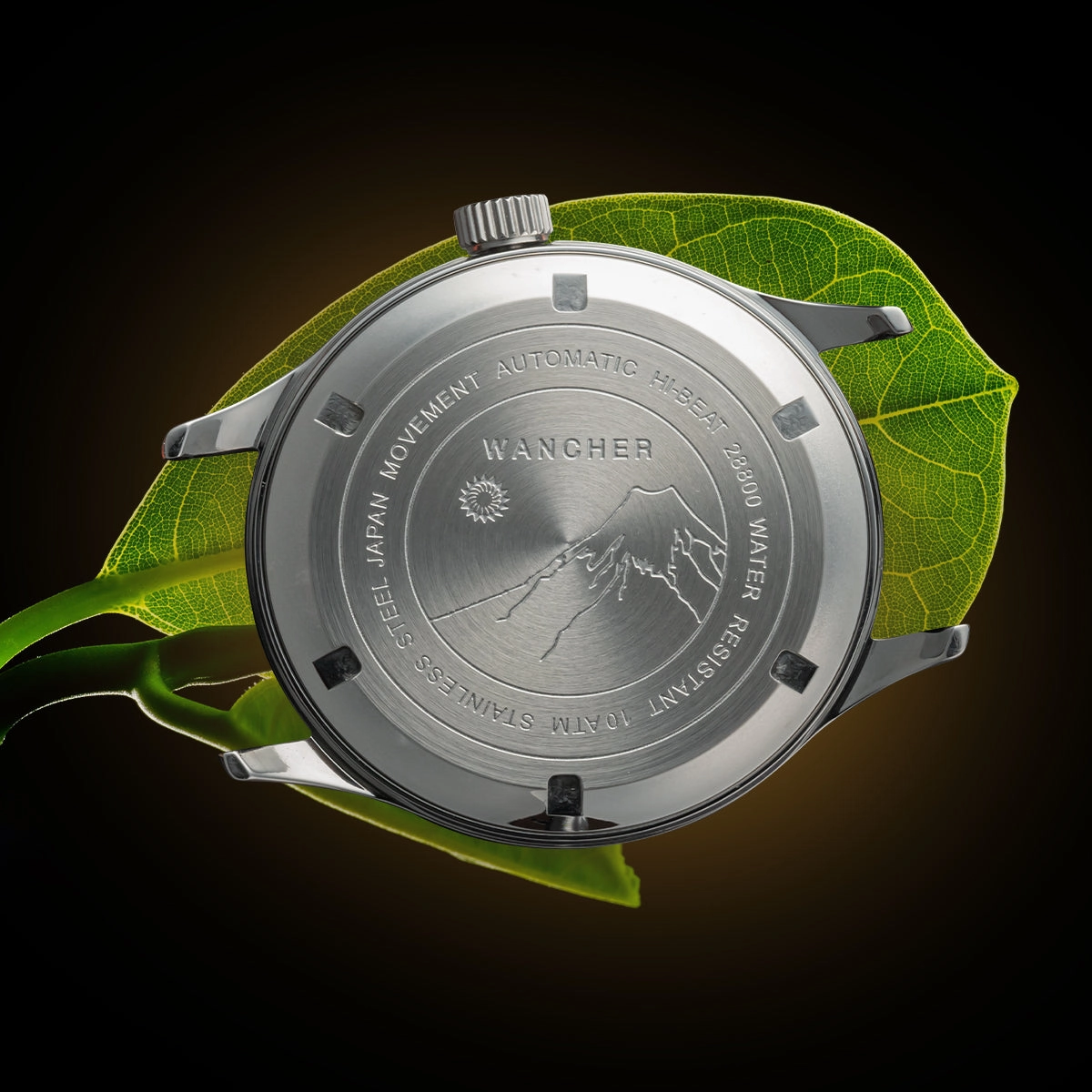 Dream Watch - Tamamushi Wing Maki-e
