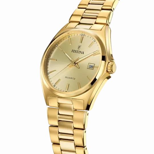 Festina Men's Sophisticated Elegance Stainless Steel Timepiece F20555/3