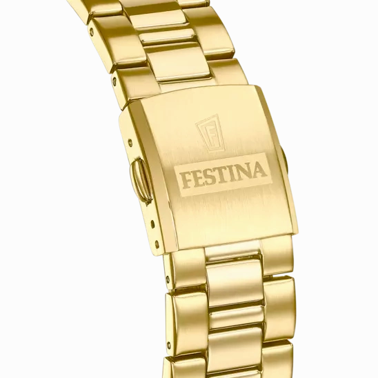 Festina Men's Sophisticated Elegance Stainless Steel Timepiece F20555/3