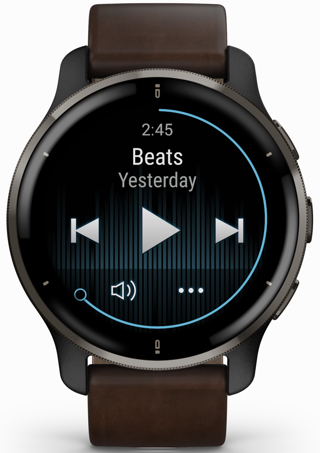 Garmin Watch Venu 2 Plus