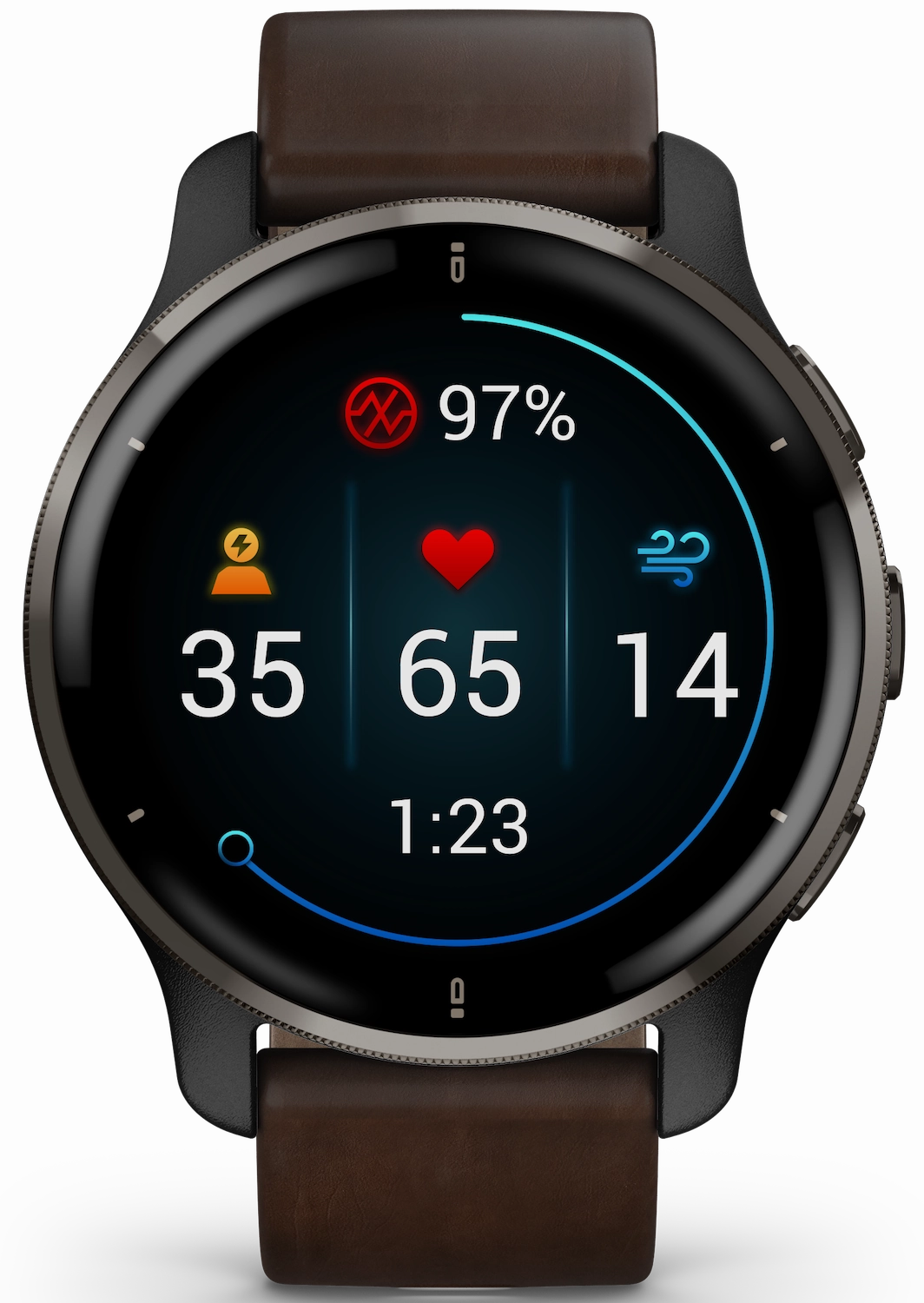Garmin Watch Venu 2 Plus