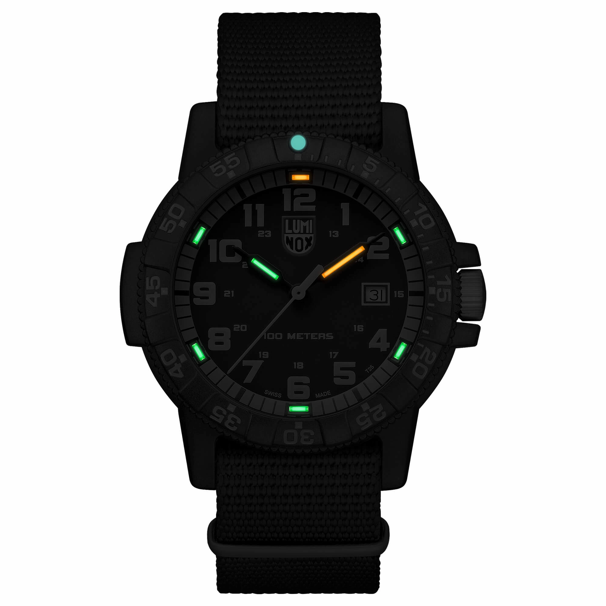 Luminox Men's Quartz Watch - Sea Turtle Giant 0320 Series Black Nylon Strap | 0333 Set