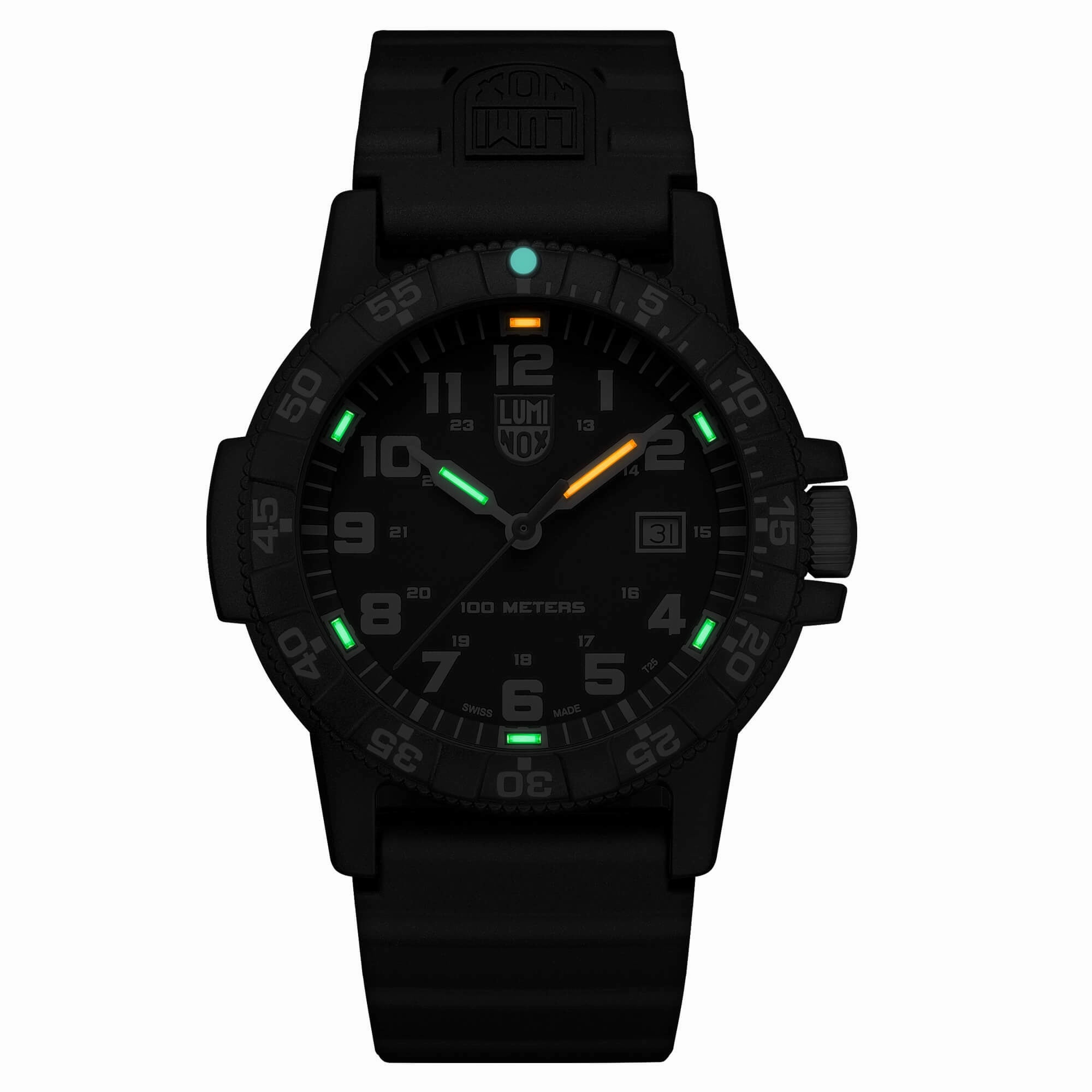Luminox Sea Turtle Giant 0320 Men's Black Dial Watch | 0321