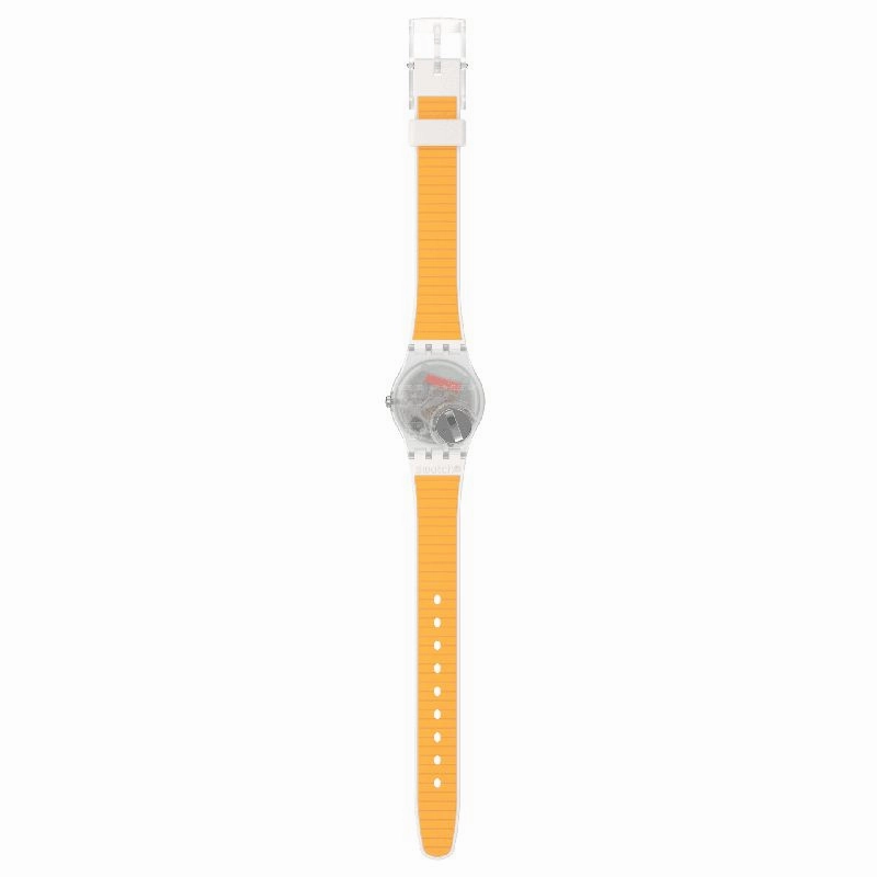 Swatch THE GOLD WITHIN YOU Watch LE108