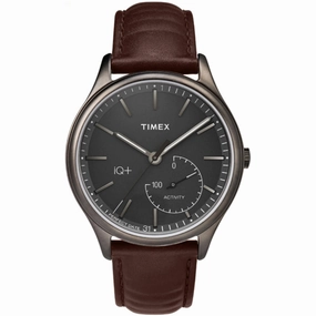 Timex Men's Watch - IQ  Quartz Brown Case Grey Dial Leather Strap | TW2P94800