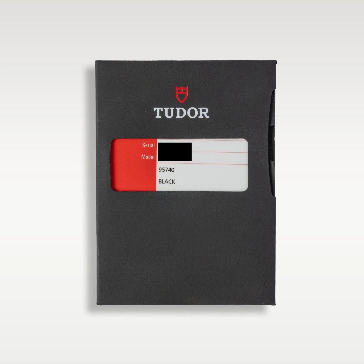 Tudor Black Bay 79220B