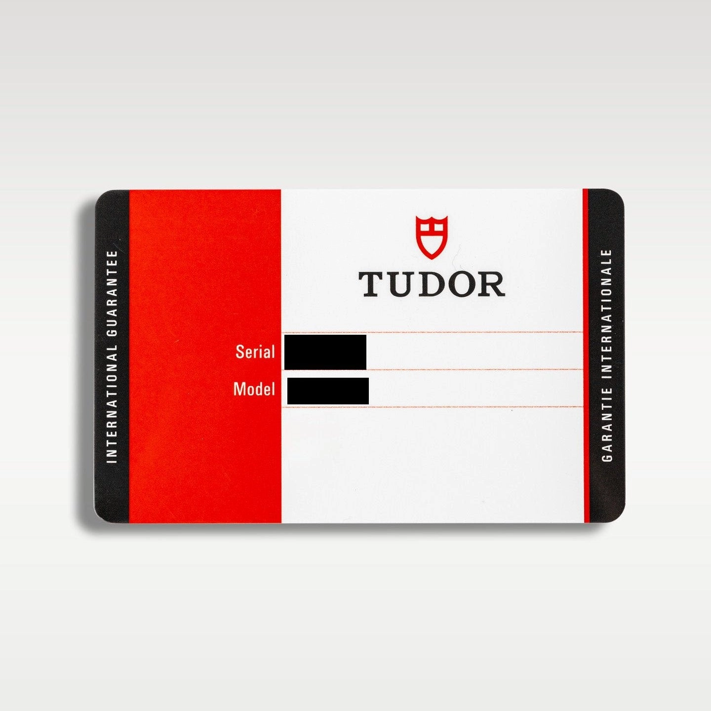 Tudor Black Bay 79230B