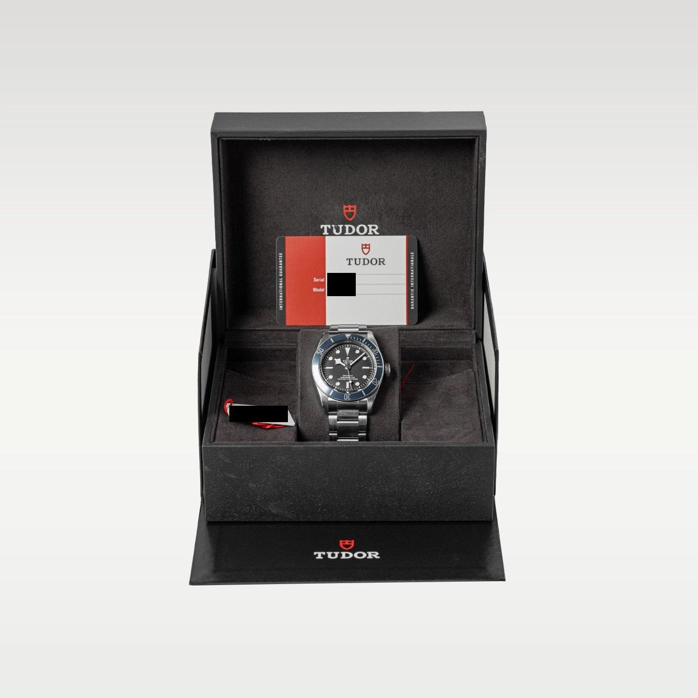 Tudor Black Bay 79230B