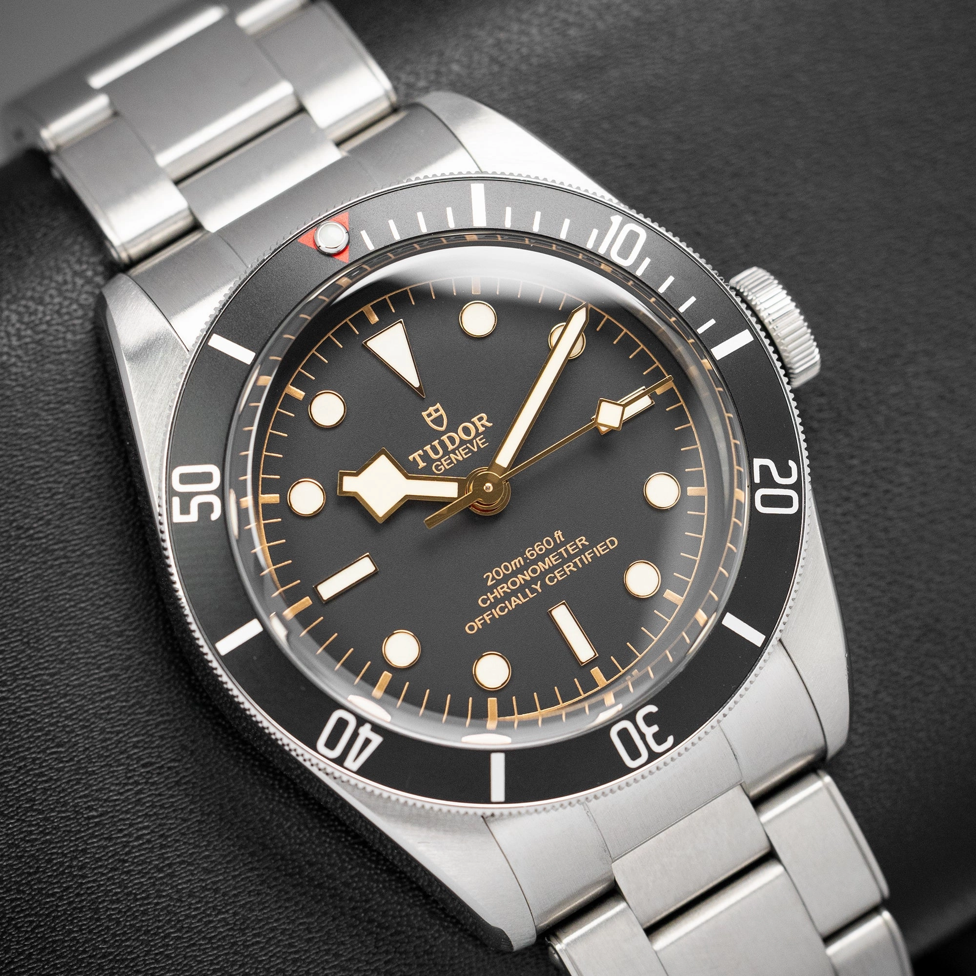 Tudor Black Bay 79230N