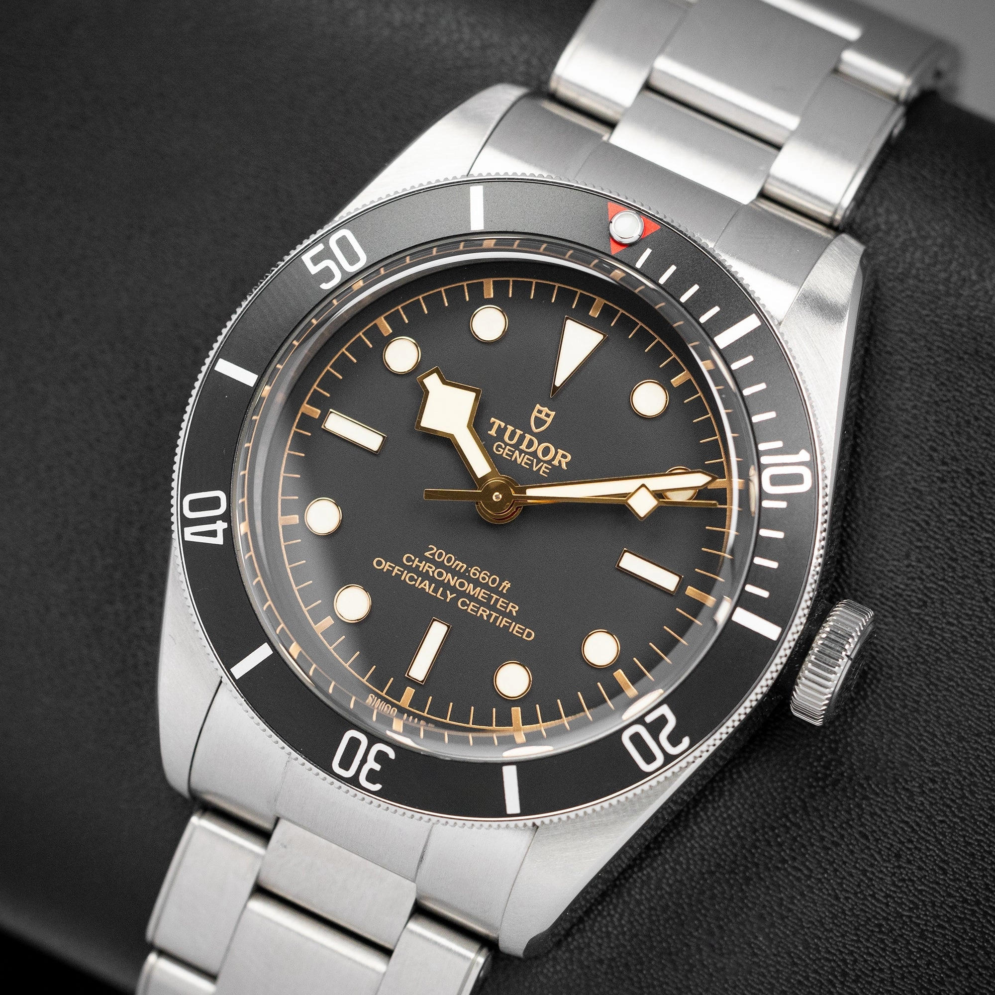Tudor Black Bay 79230N