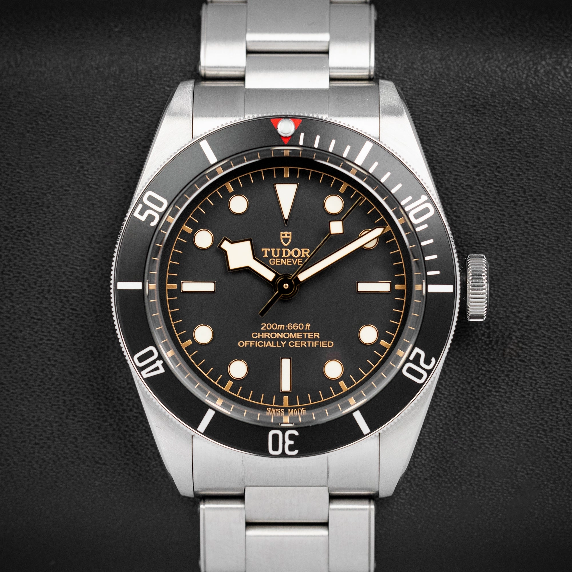 Tudor Black Bay 79230N