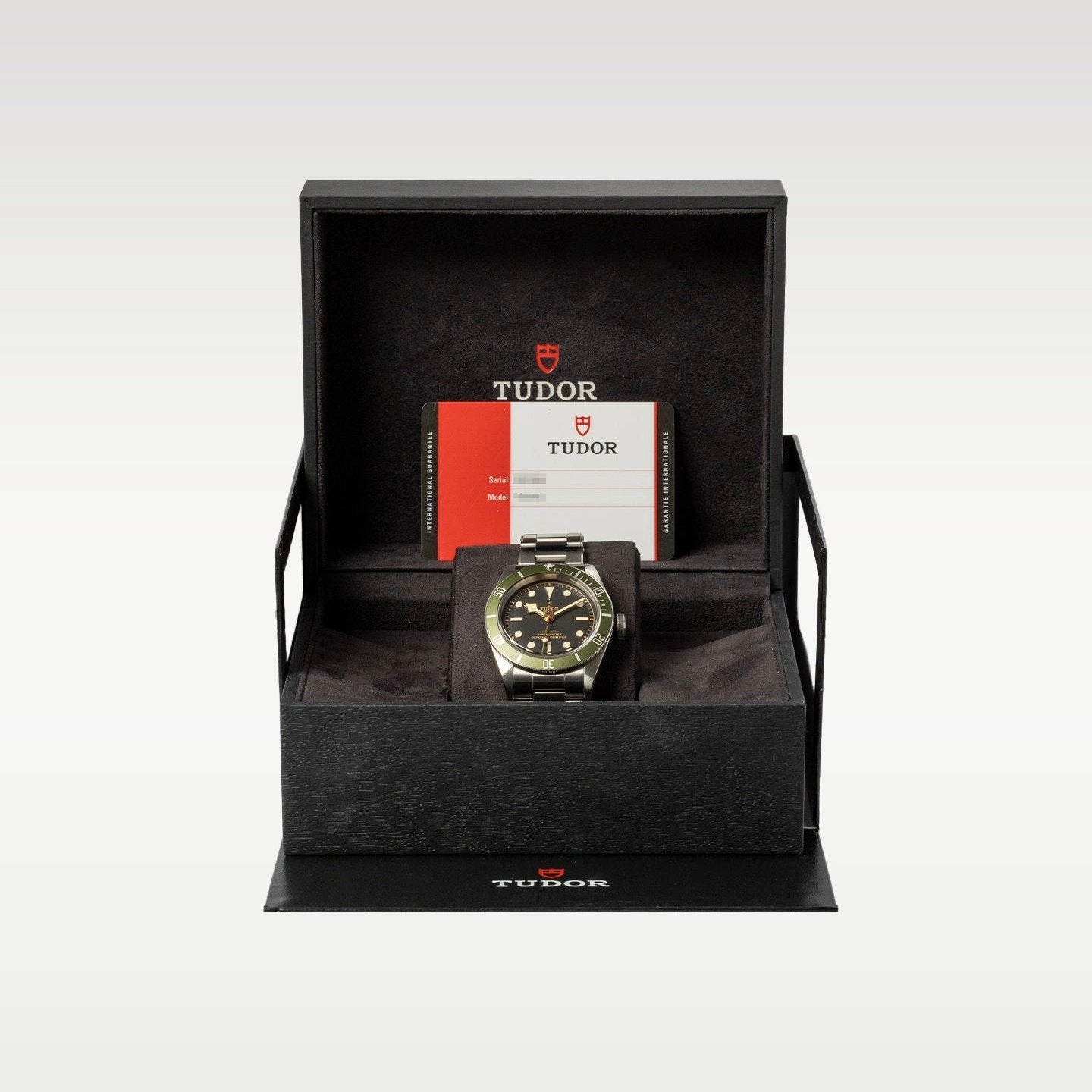 Tudor Black Bay Harrods 79230G