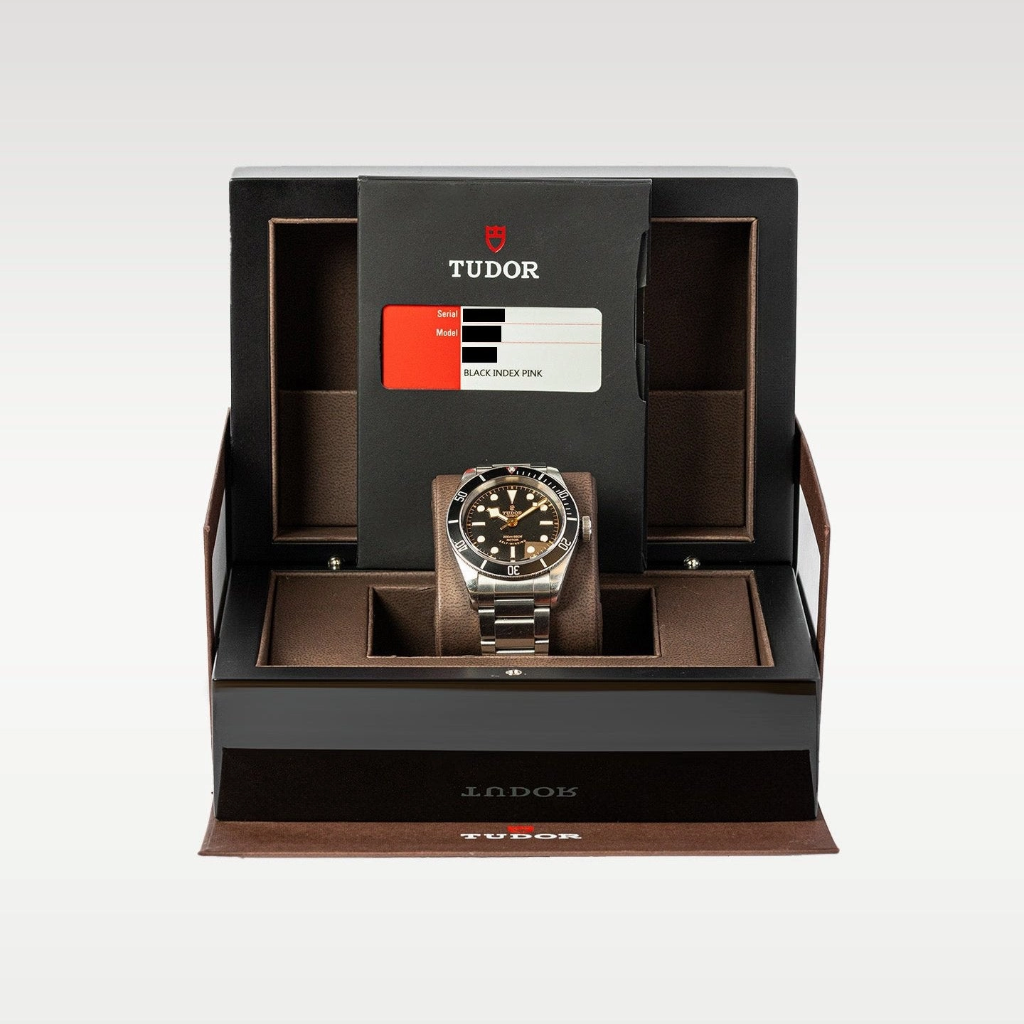 Tudor Black Bay Smiley 79220N