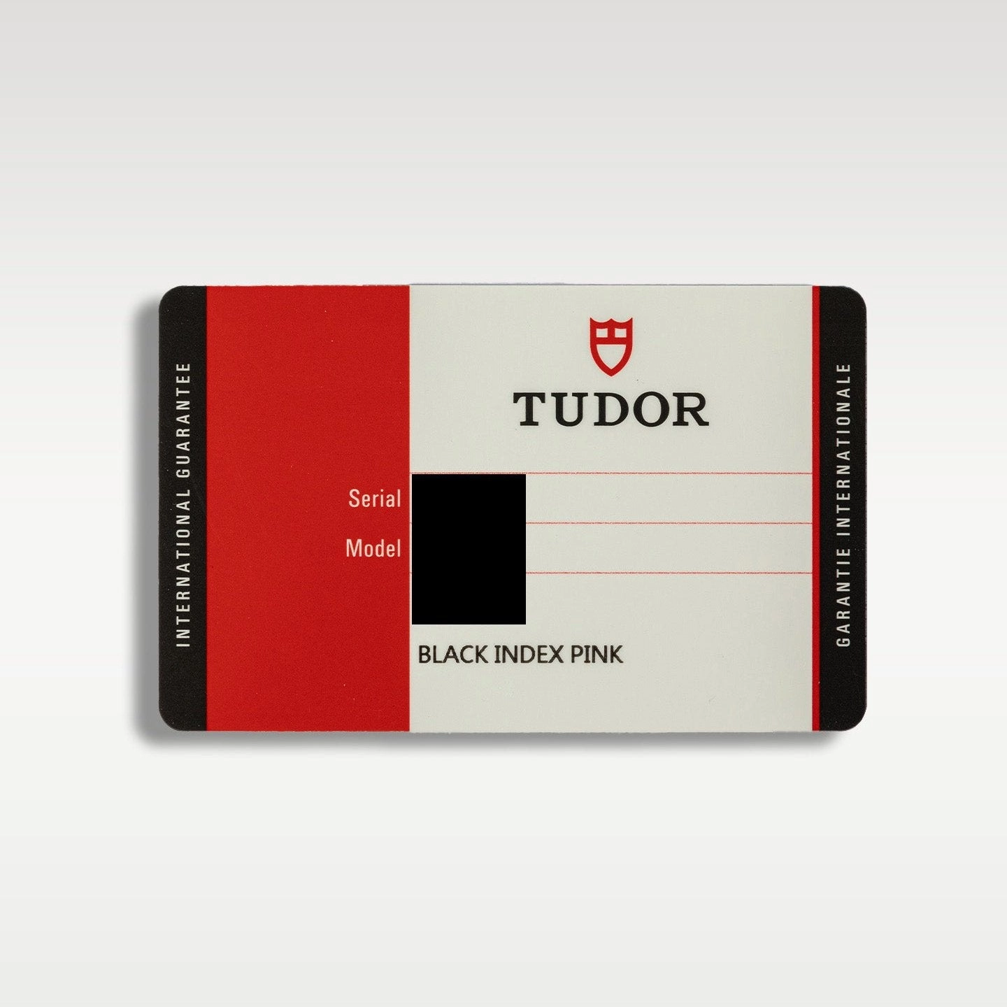 Tudor Black Bay Smiley 79220N