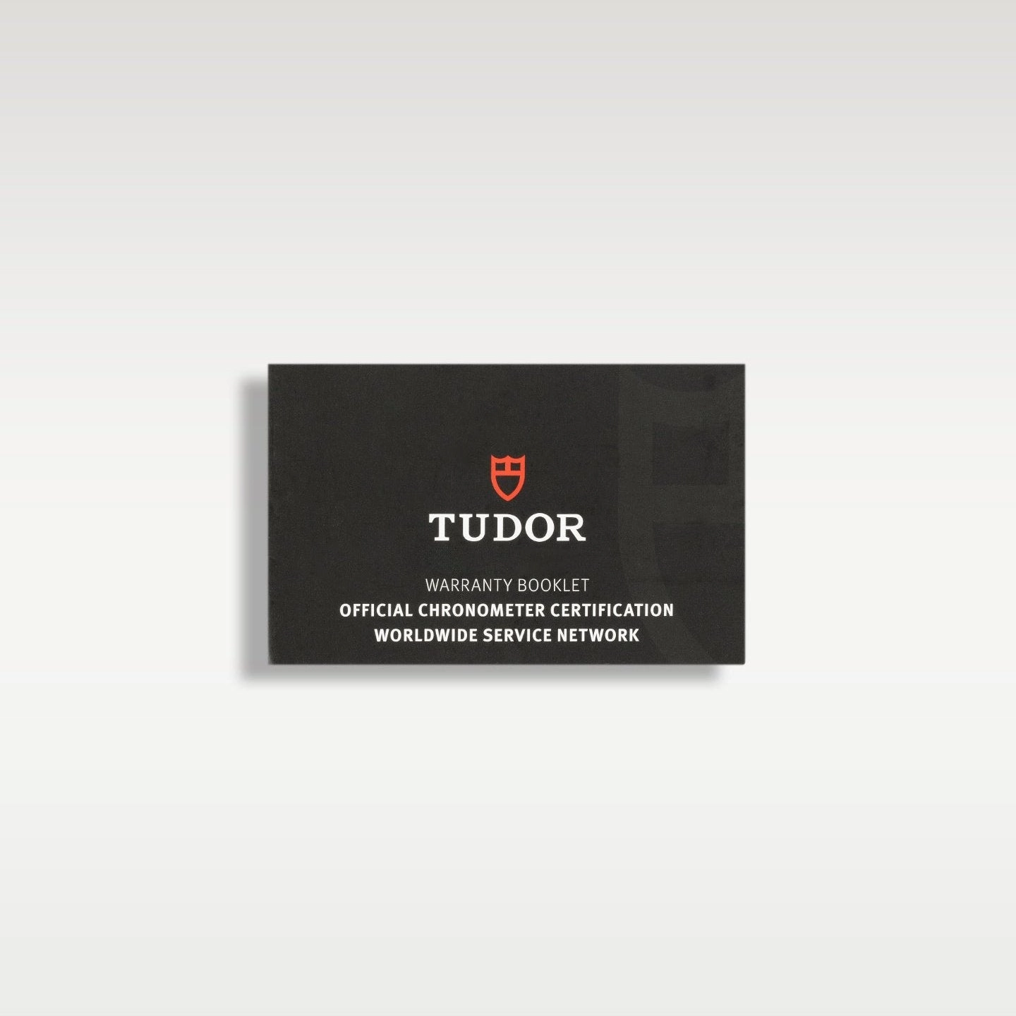 Tudor GMT Stainless Steel 79830RB