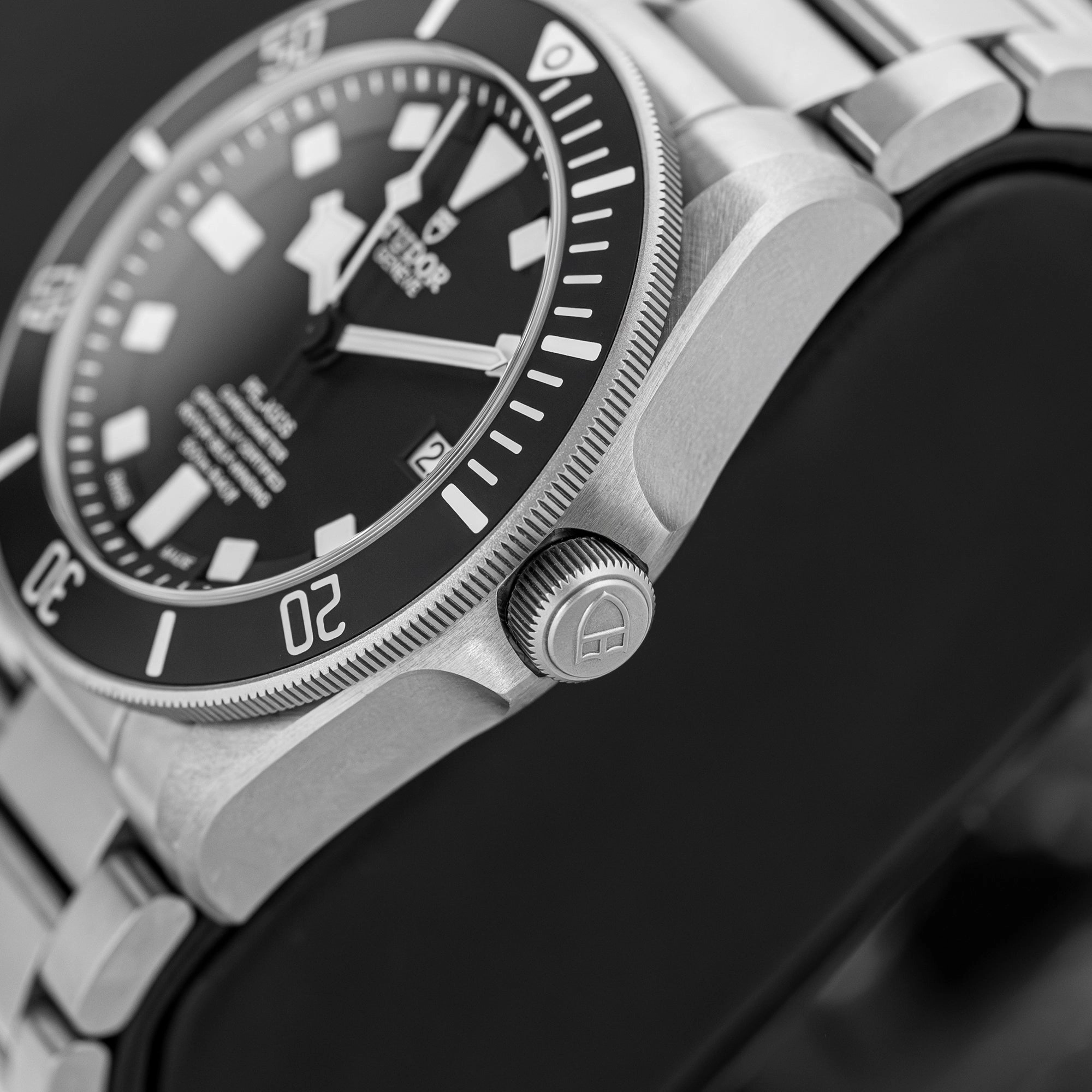 Tudor Pelagos 25600TN