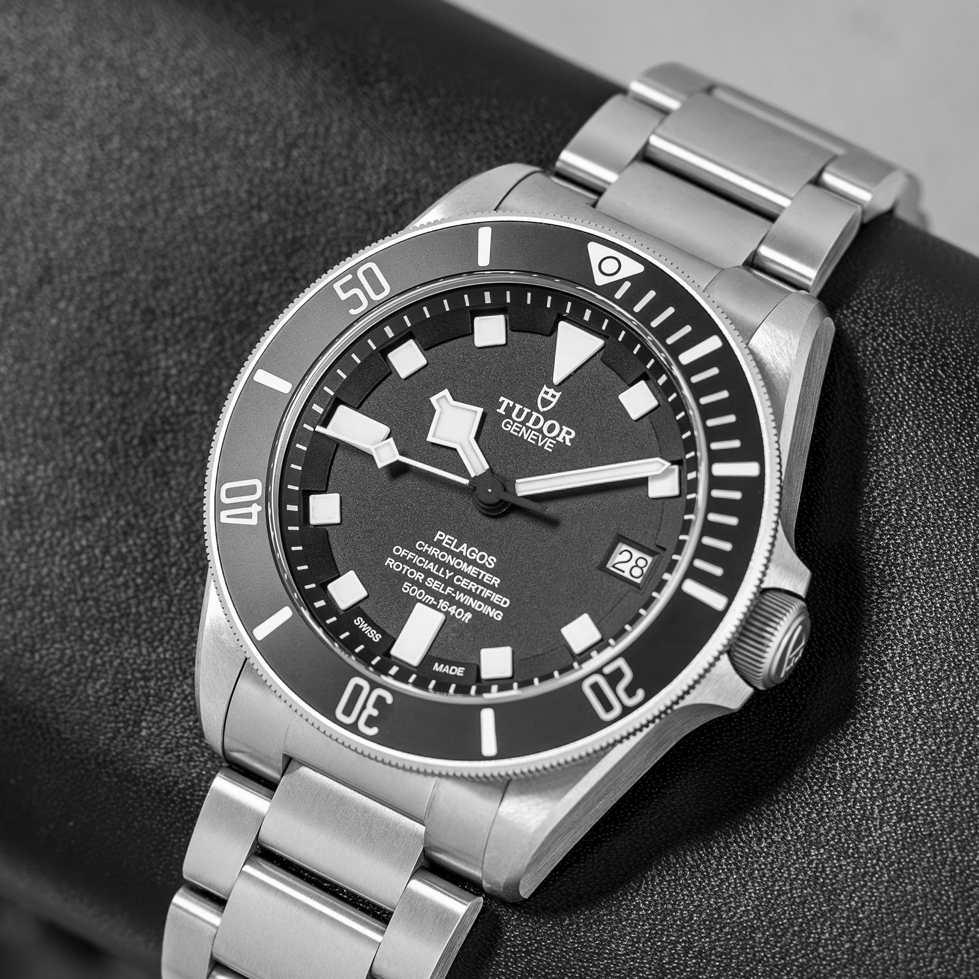 Tudor Pelagos 25600TN
