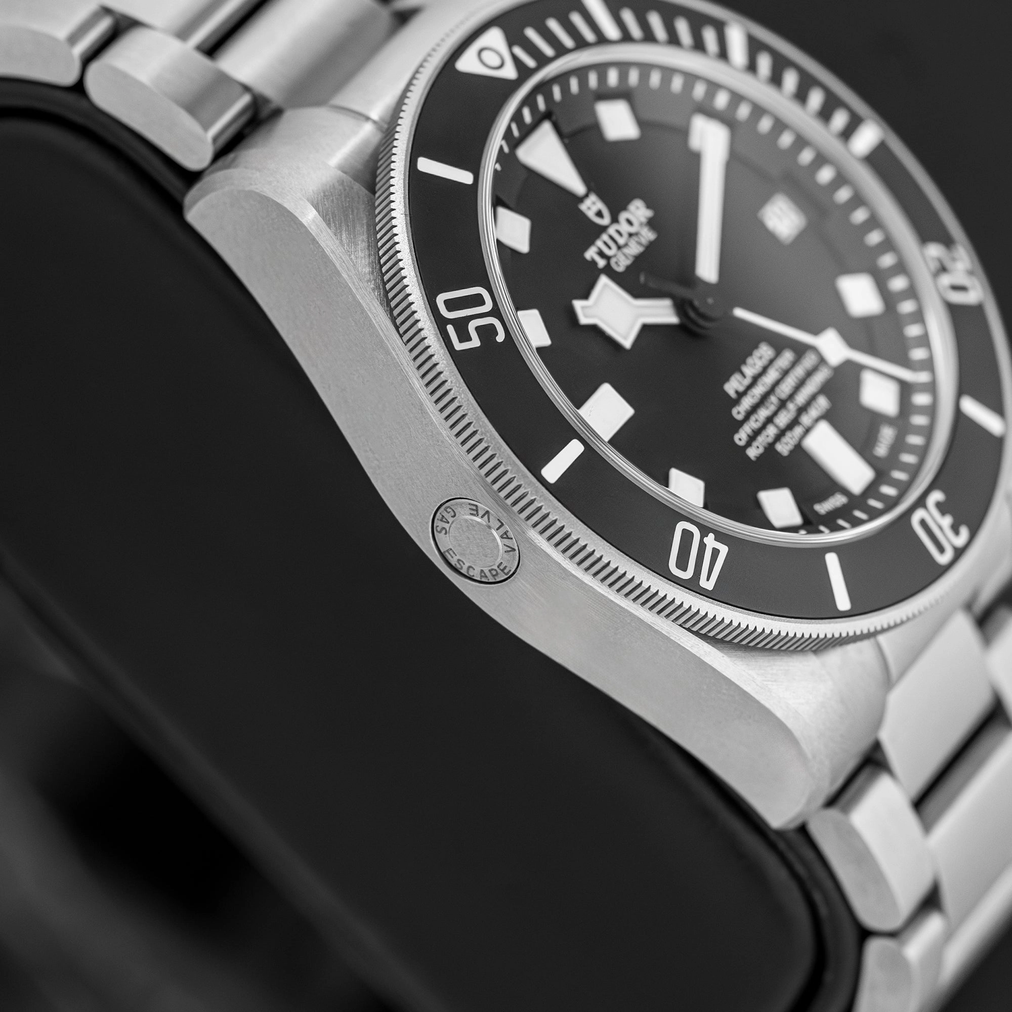 Tudor Pelagos 25600TN