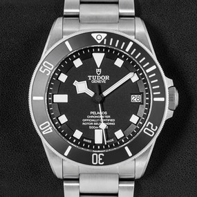 Tudor Pelagos 25600TN