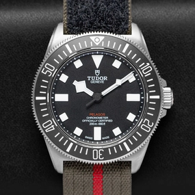 Tudor Pelagos 25717N