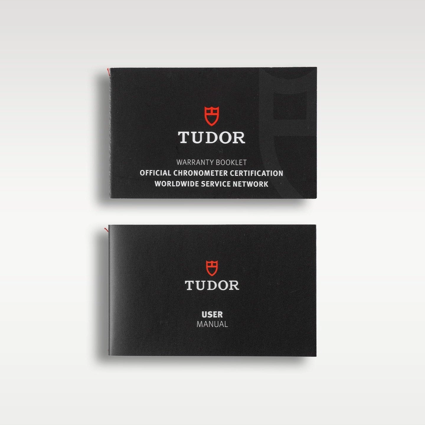 Tudor Pelagos 25717N