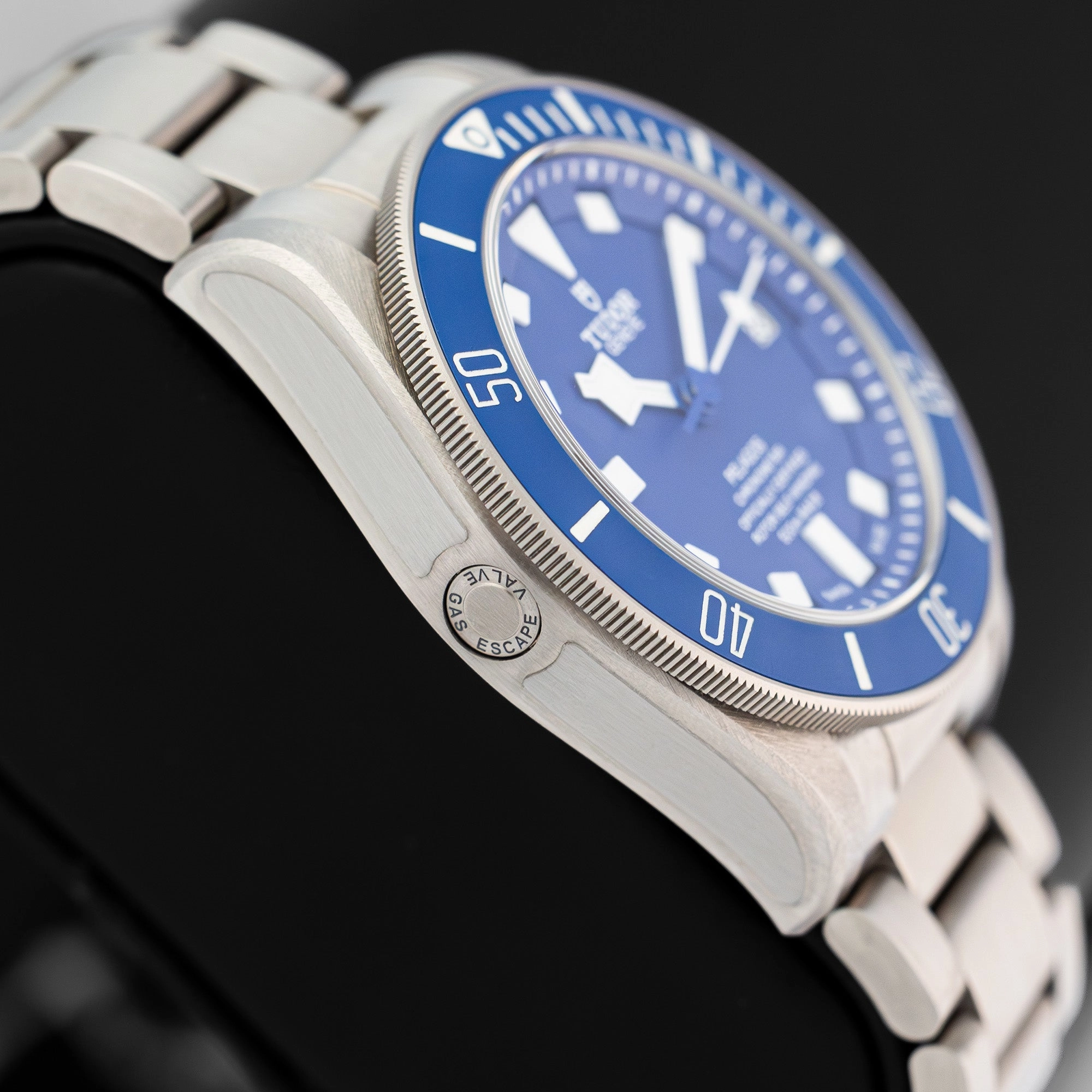 Tudor Pelagos Titanium 25600TB