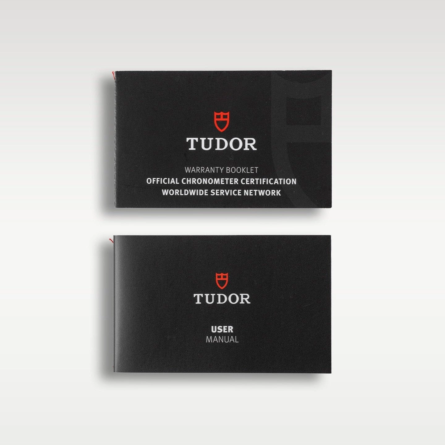 Tudor Pelagos Titanium 25600TB