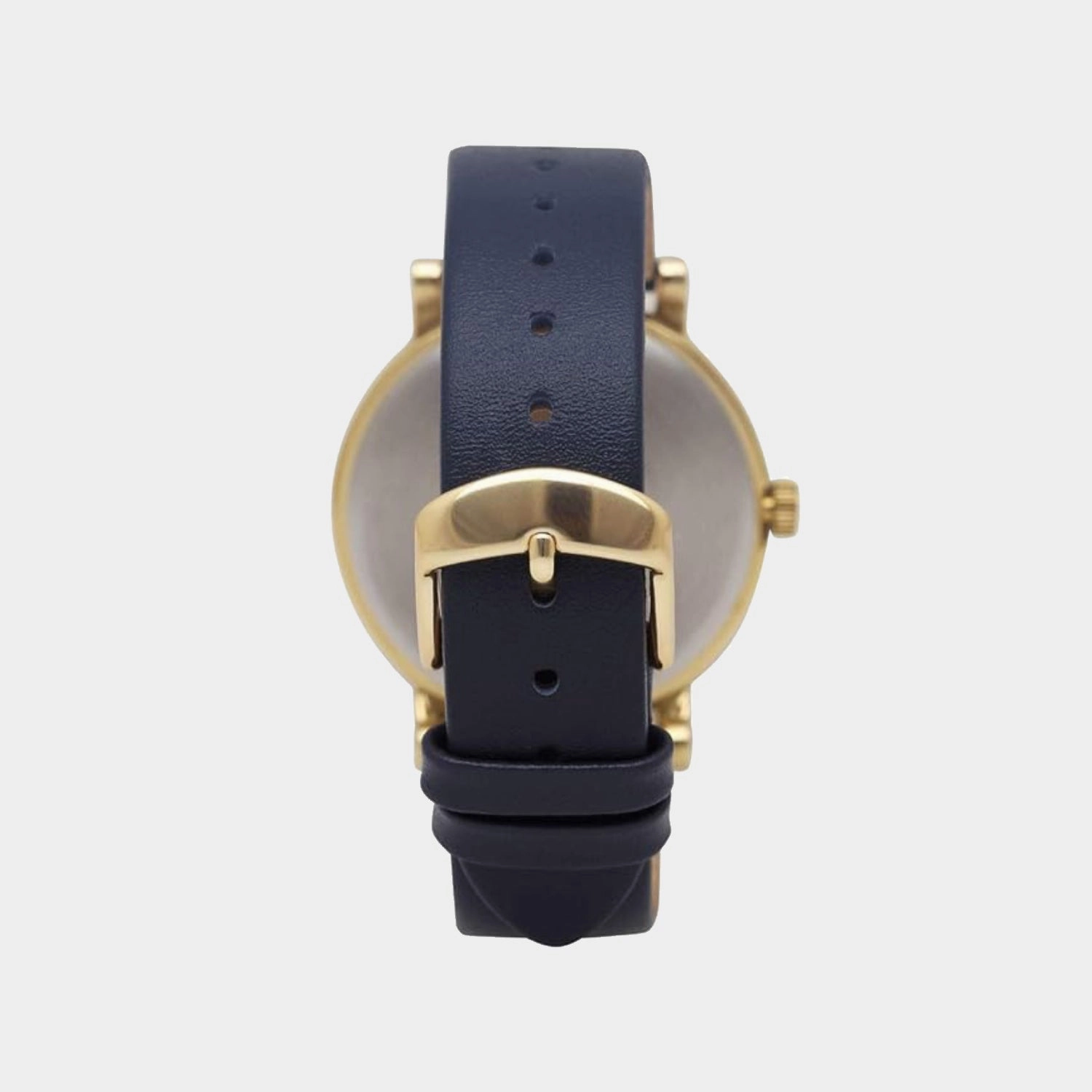 Women Quartz Blue Dial Analog Leather Watch TW2R98100